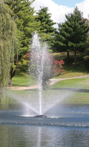 Kasco 1 HP 4400JF Series Fountain