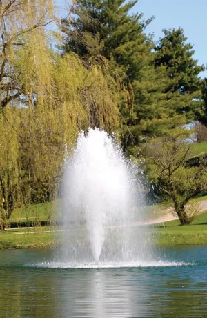 Kasco 3 HP 3.1JF Fountain